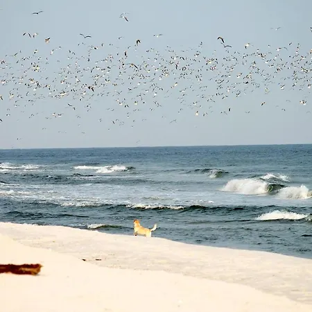 White Pearl 2.11 Apartment *