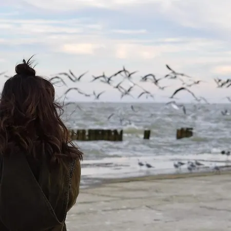 Apartment White Pearl 2.11 Timmendorfer Strand