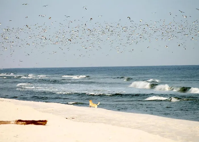 White Pearl 2.11 Apartment *