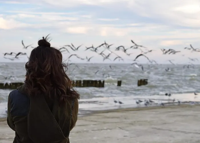 Apartment White Pearl 2.11 Timmendorfer Strand